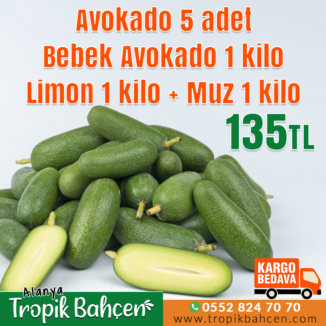 tropik-bahcen-alanya-paket1