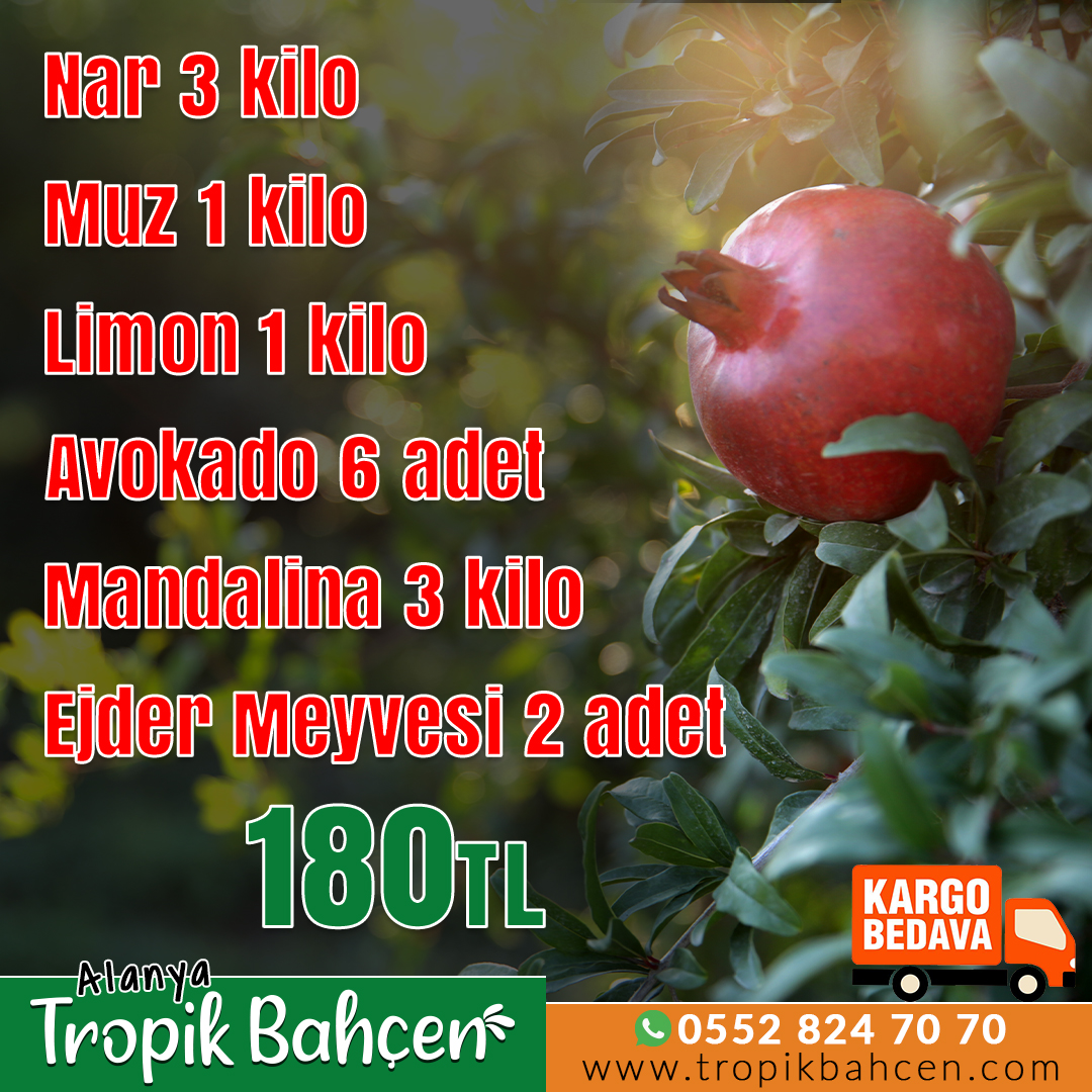 tropik-bahcen-alanya-paket2